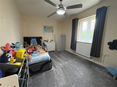 Picture 20